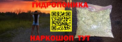 крисы Будённовск