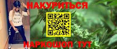 крисы Будённовск