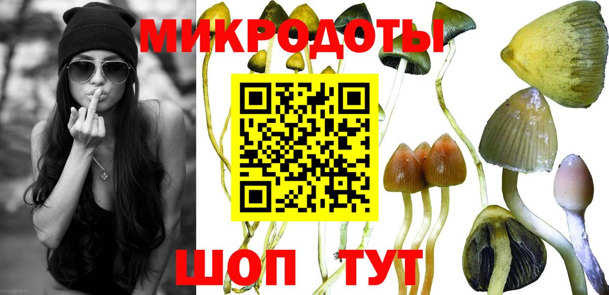 Псилоцибиновые грибы Magic Shrooms  Вход с VPN  Псилоцибиновые грибы Psilocybine cubensis  Углич 